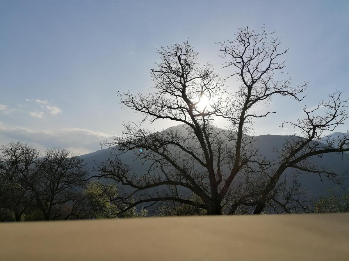 Neue Ferienwohnungen Auf Dem Gebreitnerhof, Urlaub Auf Dem Bauernhof Bressanone Dış mekan fotoğraf